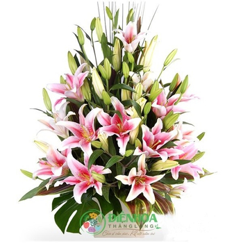 Lẵng hoa ly hồng đẹp