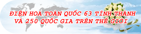 Điện hoa 64 tỉnh thành trong cả nước