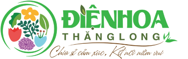 Điện Hoa Hà Nội | Shop Hoa Tươi | Gửi Hoa | Quà Tặng | Việt Nam