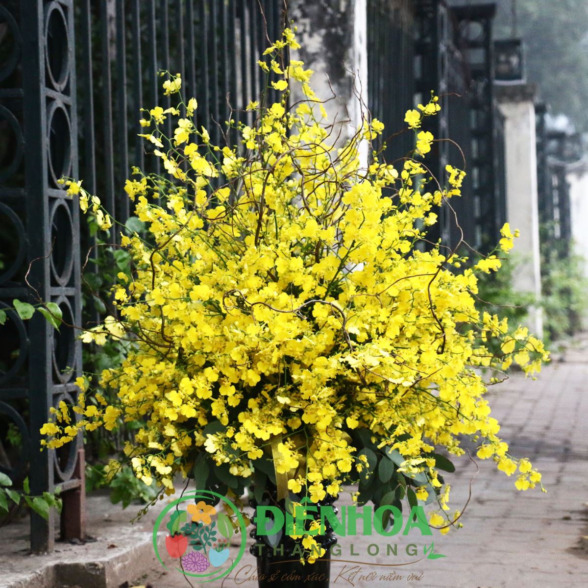 Bình hoa vũ nữ tặng mẹ