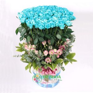 99 bông hồng xanh hy vọng