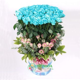 99 bông hồng xanh hy vọng