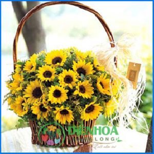 Giỏ hoa hướng dương tròn
