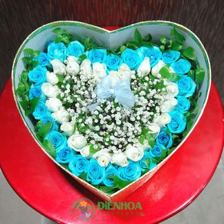 Hoa hồng xanh kết trái tim