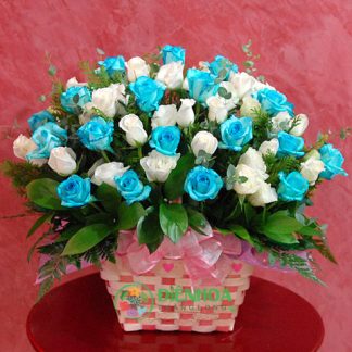 Hoa hồng xanh Hà Nội