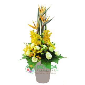 Hoa văn phòng bình hoa nắng vàng