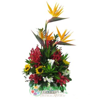 Hoa văn phòng bình hoa tươi vươn lên