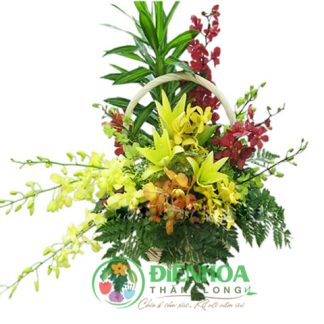 Thuận buồm xuôi gió