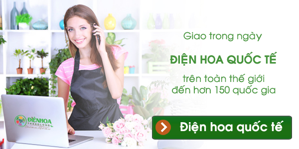 Giao hoa trong ngày