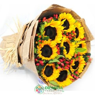 Bó hoa hướng dương