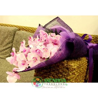 Bó hoa lan hồ điệp tím