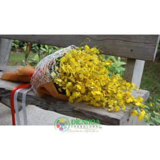 Bó hoa lan vũ nữ sang trọng