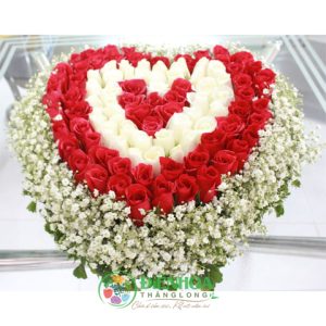 Chỉ một tình yêu