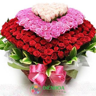 Giỏ 365 bông hồng
