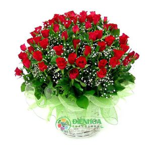 Giỏ 99 bông hồng đỏ và babi trắng