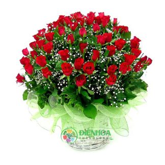 Giỏ 99 bông hồng đỏ và babi trắng