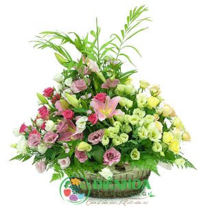 Giỏ hoa tươi hy vọng