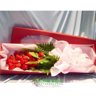 Hoa hộp hồng đỏ