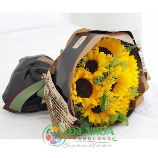 Hoa hướng dương bó tròn