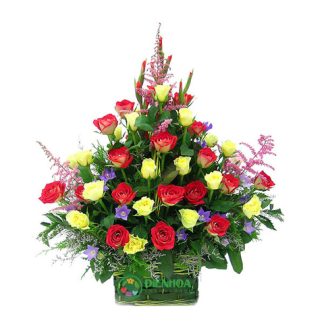 Hoa sinh nhật rực rỡ