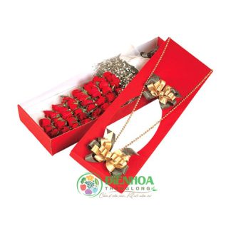 Hoa hộp dài hàn quốc hồng đỏ