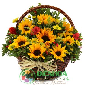 Lẵng hoa hướng dương đẹp