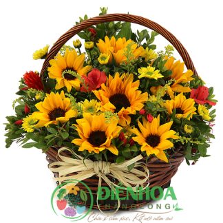 Lẵng hoa hướng dương đẹp