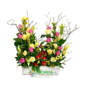 Sinh nhật ấm áp