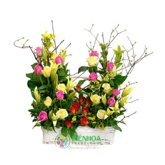 Sinh nhật ấm áp