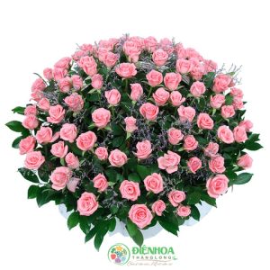 Vườn hồng